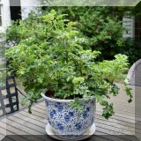 L14. Blue and white plant pot. 